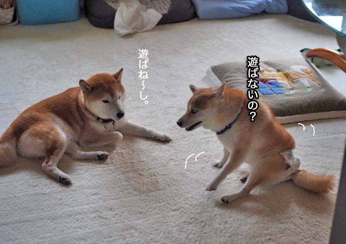 6日午後ブログ6