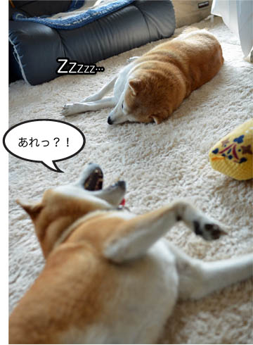 13日ブログ10.jpg
