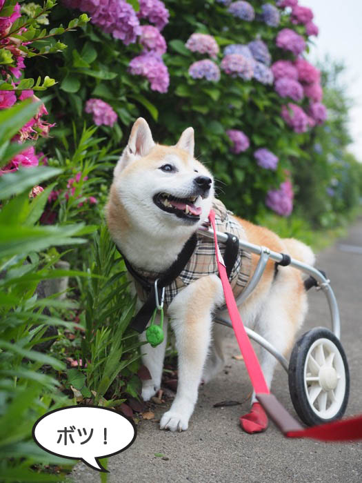 4日夕ブログ４