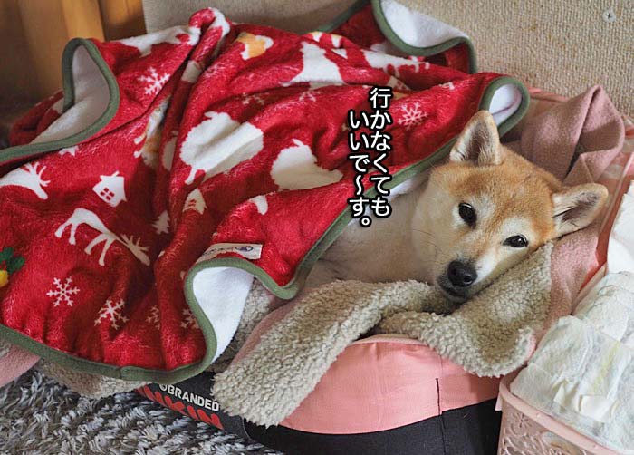 10日ブログ６
