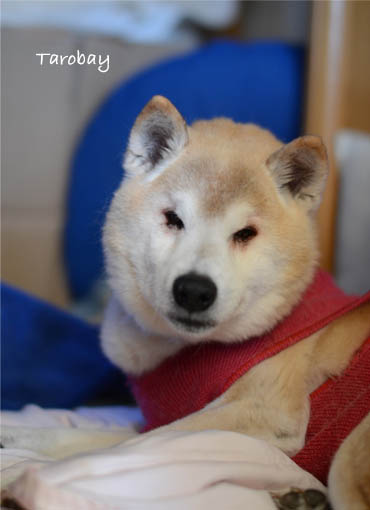 25日ブログ3.jpg
