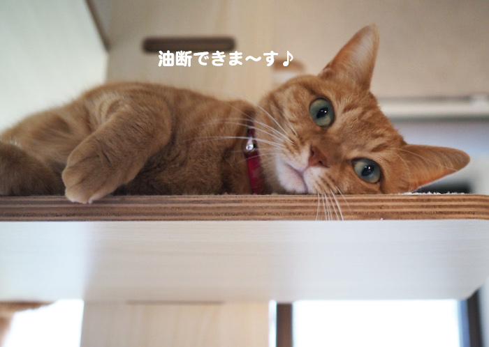 8日夜ブログ７