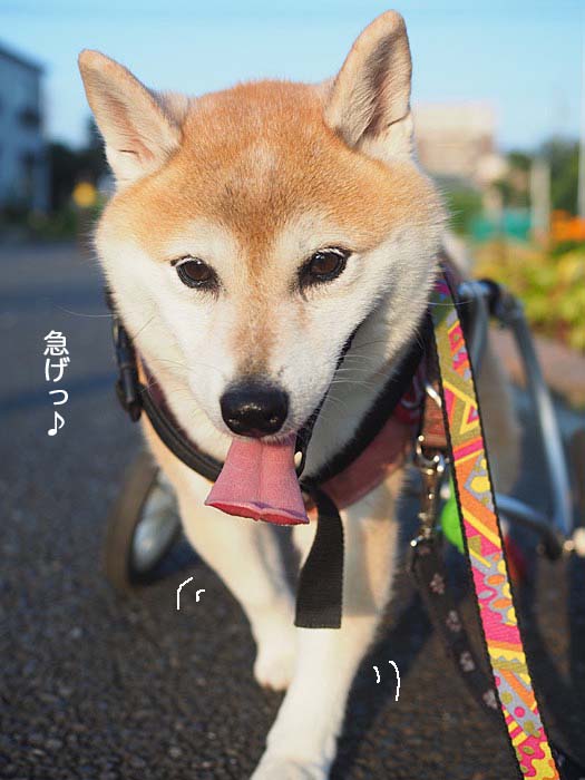 6日ブログ３