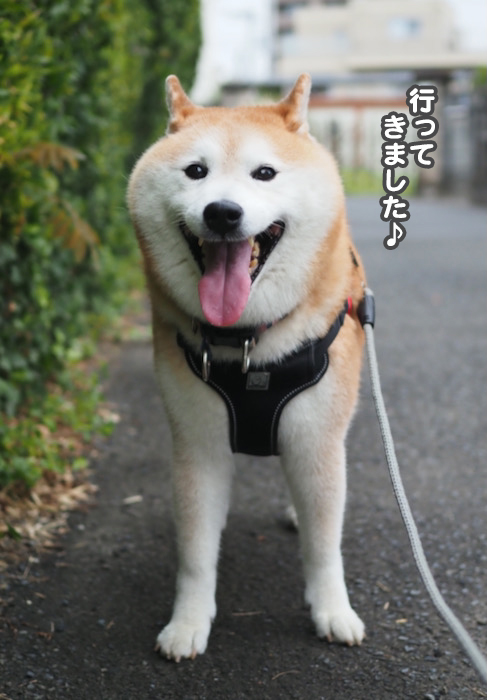 8日夕ブログ６