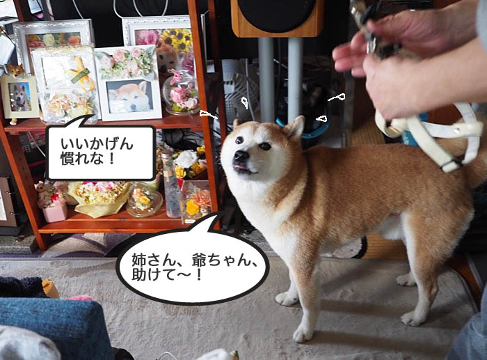 11日ブログ６