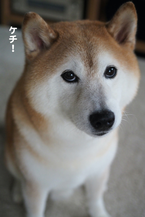 25日夕ブログ６