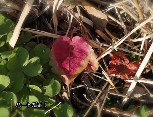 21日ブログ2.jpg