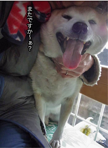 7日ブログ7.jpg