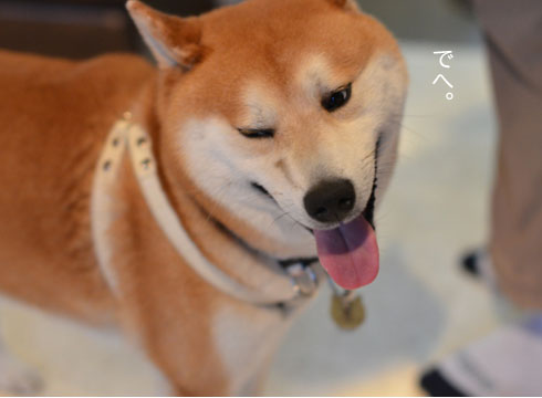 27日ブログ3.jpg