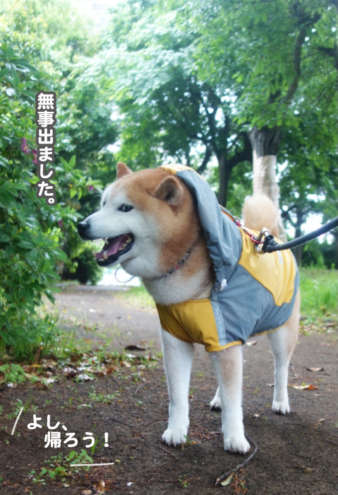 10日午後ブログ６