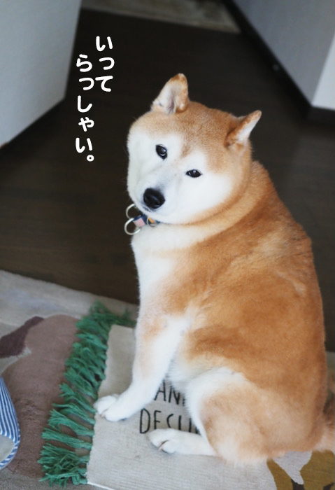 31日朝ブログ１