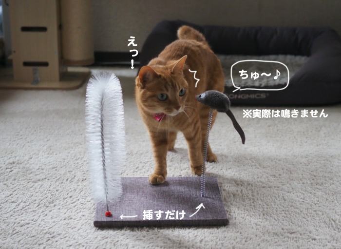 9日夕ブログ３