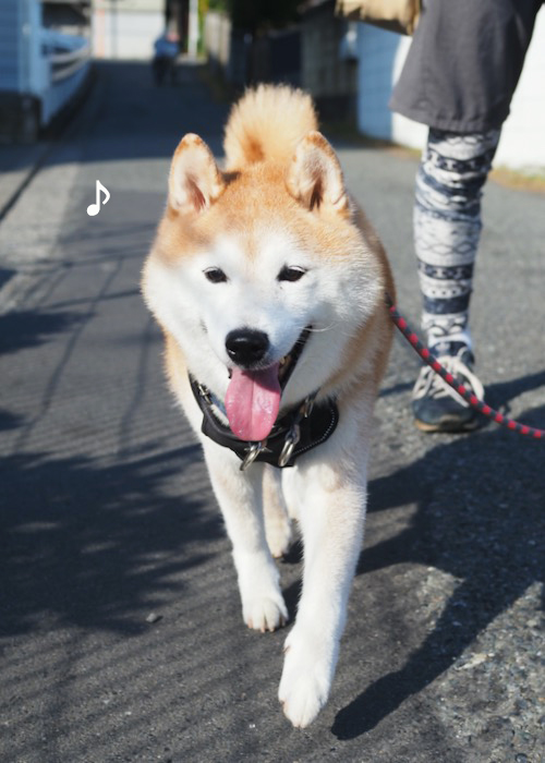 27日夕ブログ３