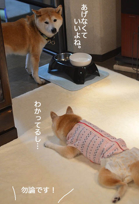 17日ブログ７