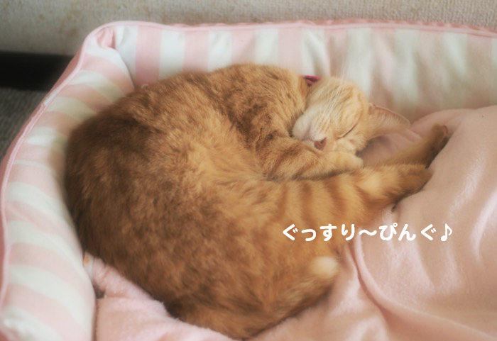 6日夕ブログ2