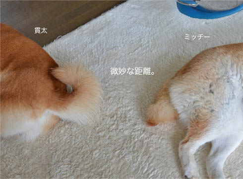 23日ブログ5.jpg
