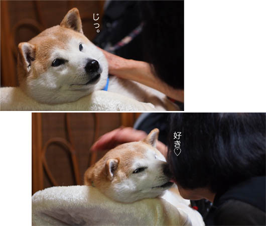 29日ブログ11.jpg