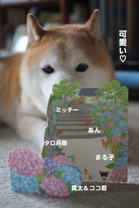 8日夕ブログ１
