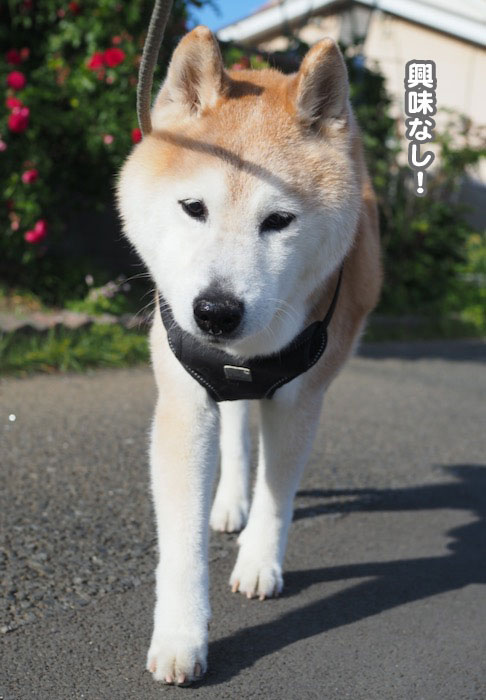 12日夕ブログ２
