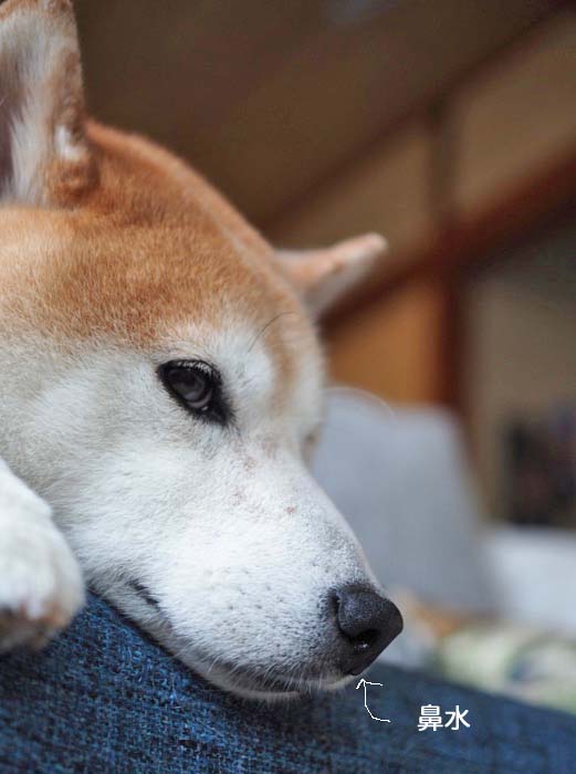 30日午後ブログ３