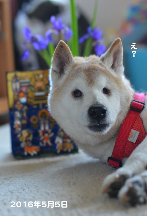 4日午前ブログ４