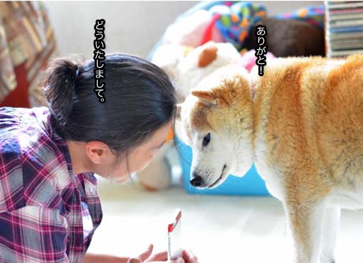 31日ブログ7.jpg