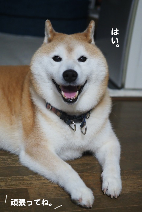8日ブログ２