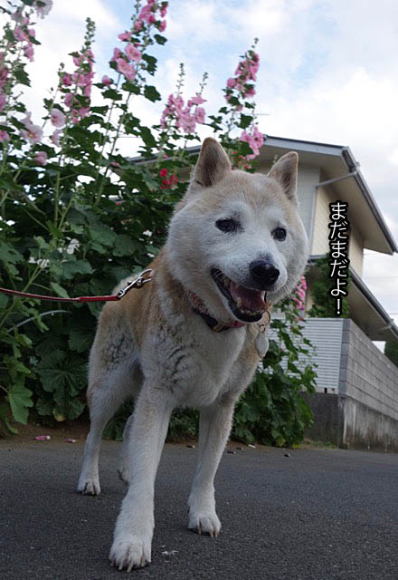6日ブログ2