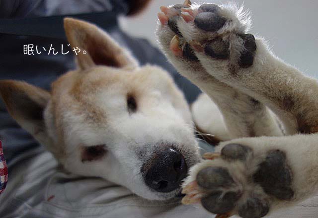 10日ブログ3