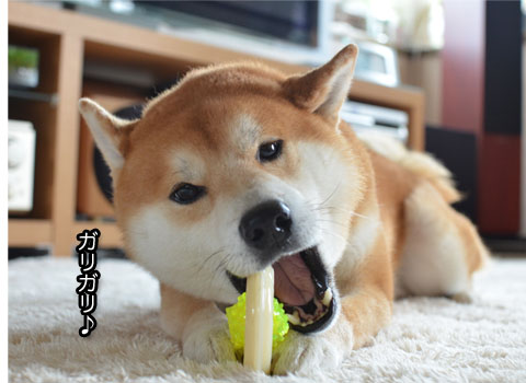 23日ブログ6.jpg