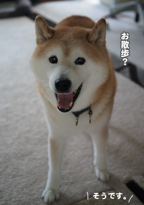 5日夕ブログ６