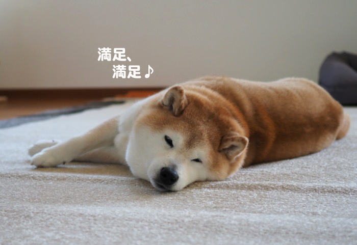 27日夕ブログ８
