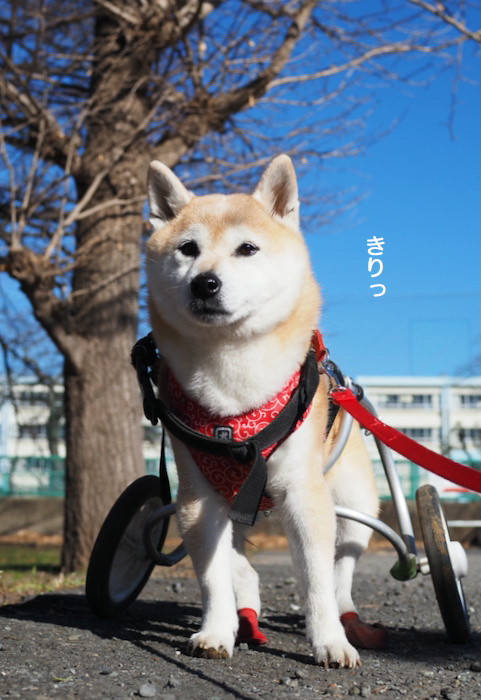 4日ブログ２