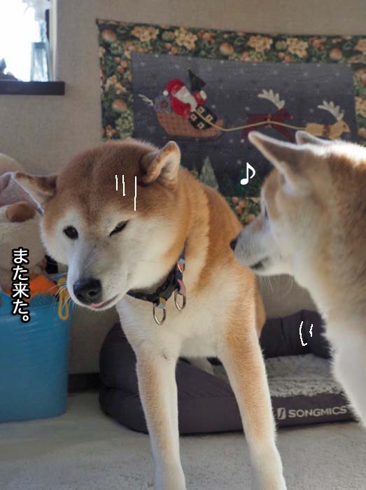 6日夜ブログ１１