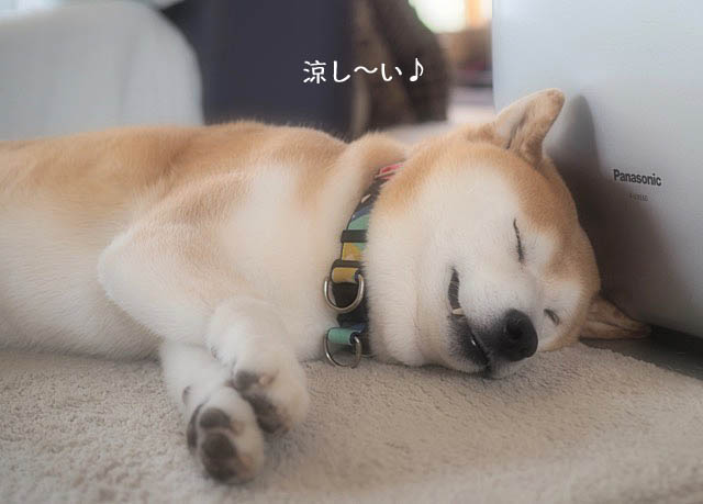 7日ブログ7