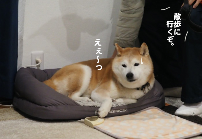 15日夕ブログ3