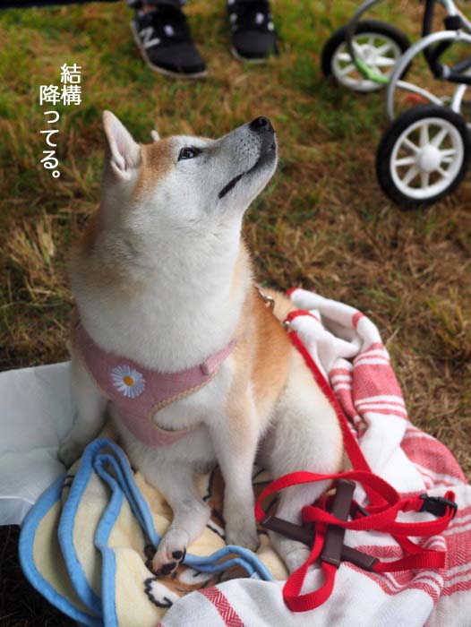 10日夜ブログ３