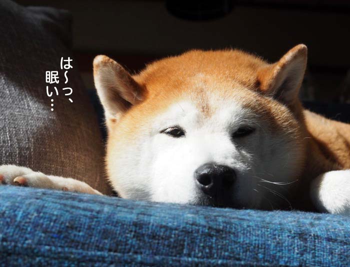 19日夜ブログ2