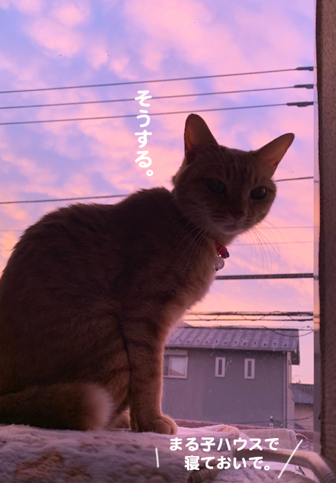 16日ブログ４