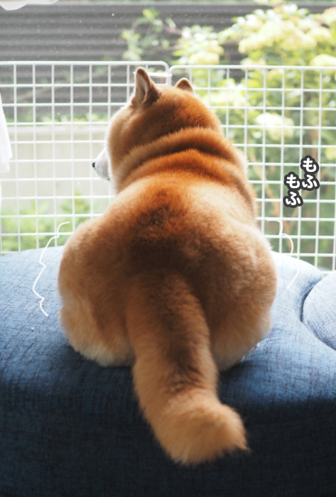 1日のブログ１