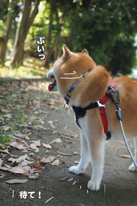 27日ブログ２