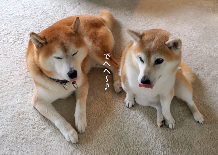 19日夕ブログ３