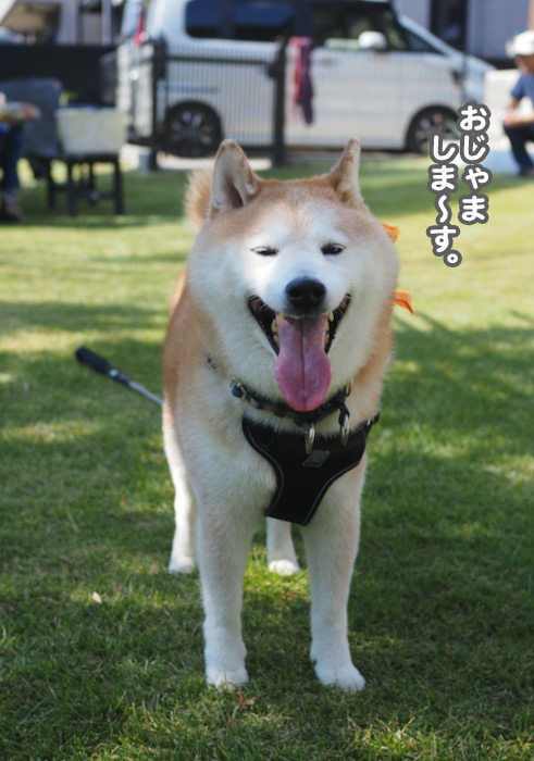 30日夕ブログ3