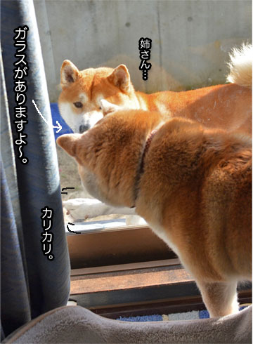 14日ブログ6.jpg