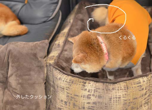 22日ブログ9.jpg