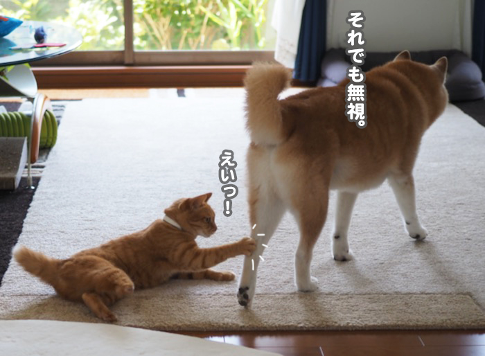 17日夕ブログ６