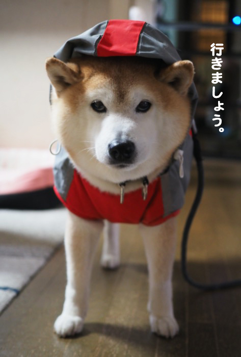 6日ブログ３