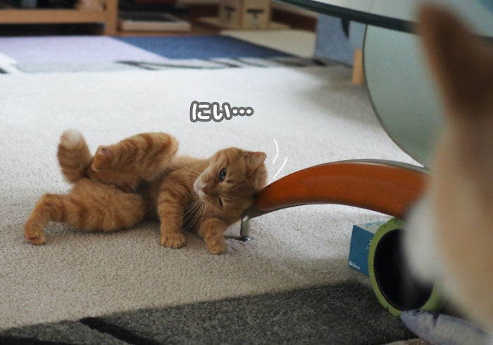 7日夕ブログ４