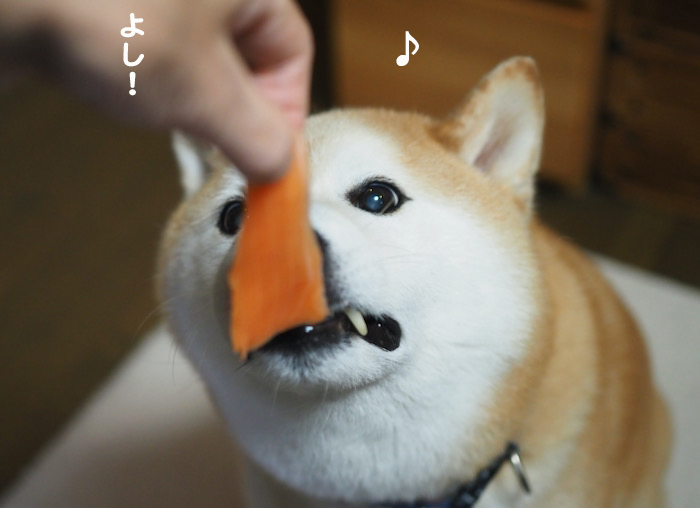 30日夜ブログ10