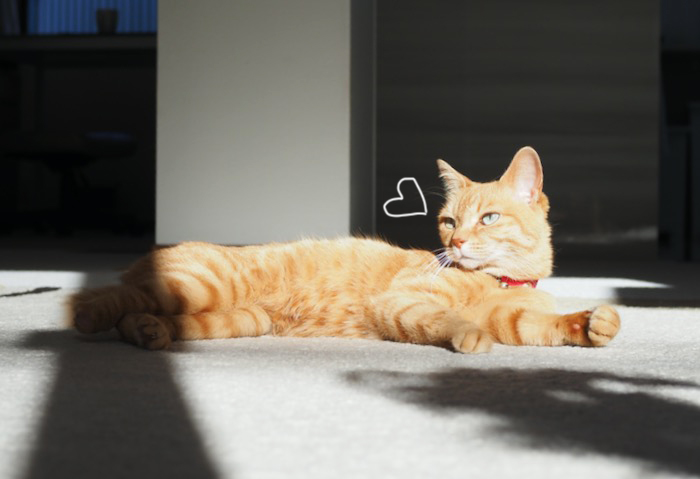 12日夕ブログ６